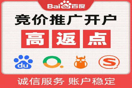 竞价推广实战：案例分析行业领军企业的成功之道